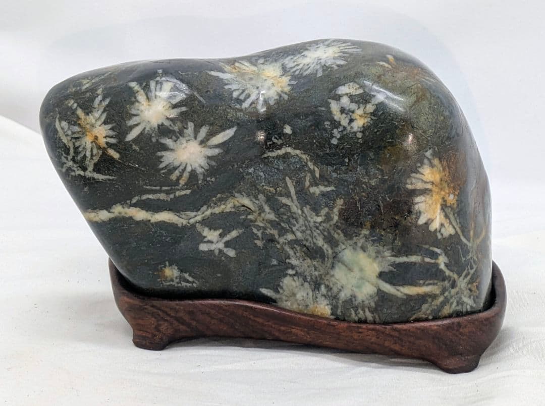 T*n様 菊花石　モスグリーン母岩に白の小花　根尾 鑑賞石 水石 自然石　紫檀台