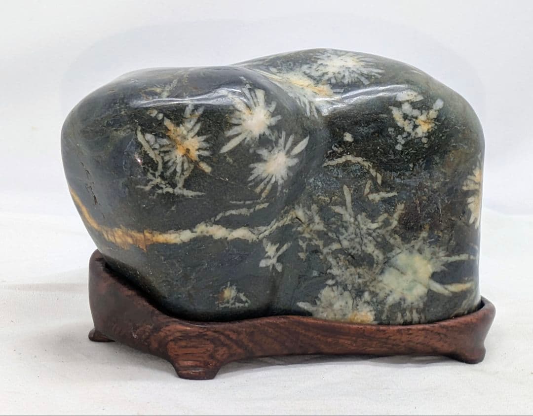 T*n様 菊花石　モスグリーン母岩に白の小花　根尾 鑑賞石 水石 自然石　紫檀台