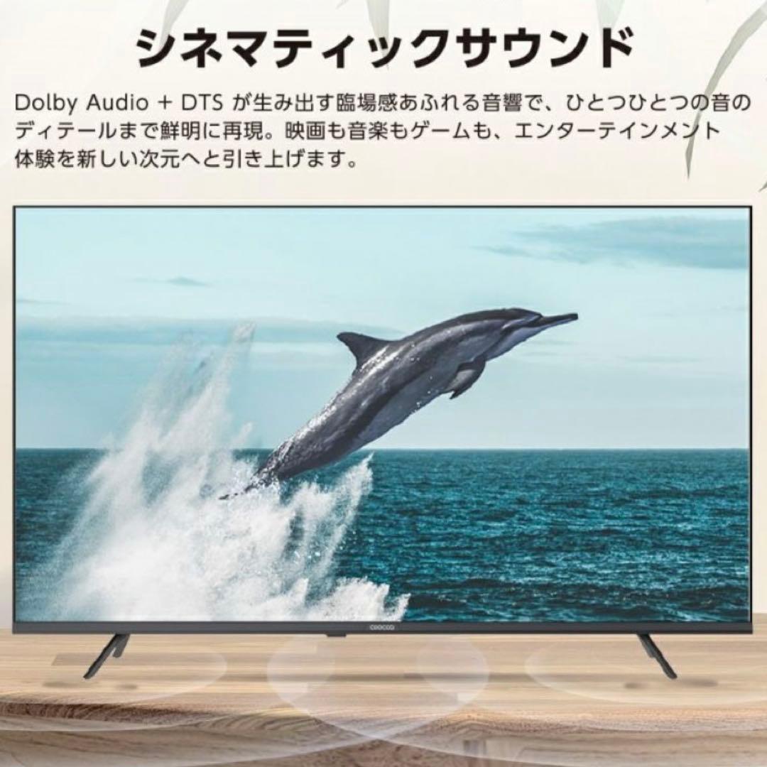 全国送料込❣️未使用ドウシシャ32型地デジBSCSチューナー内蔵GoogleTV
