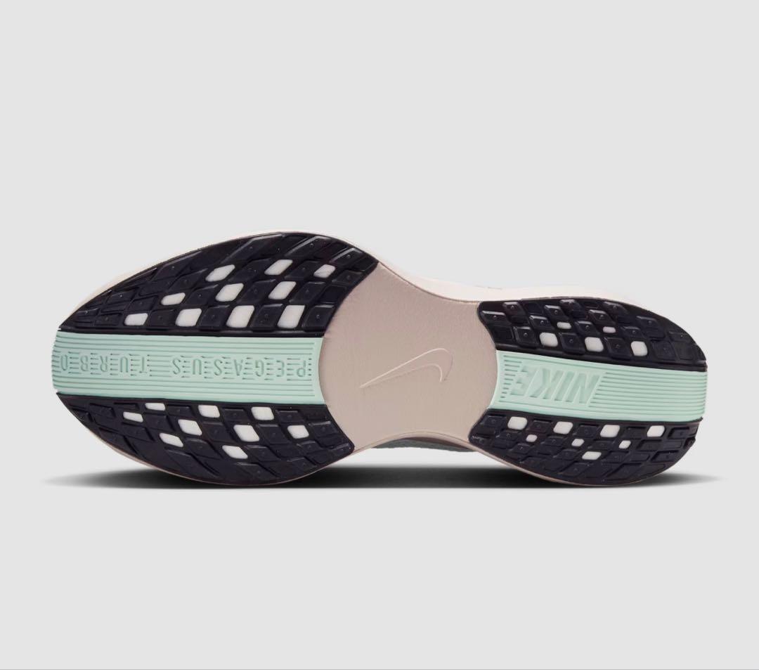 ナイキ ペガサス プラス　29.0