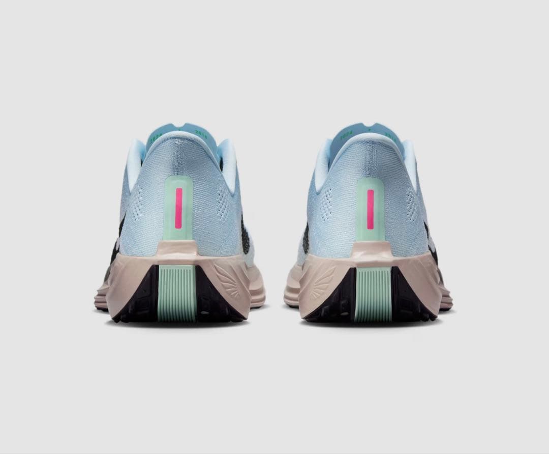 ナイキ ペガサス プラス　29.0