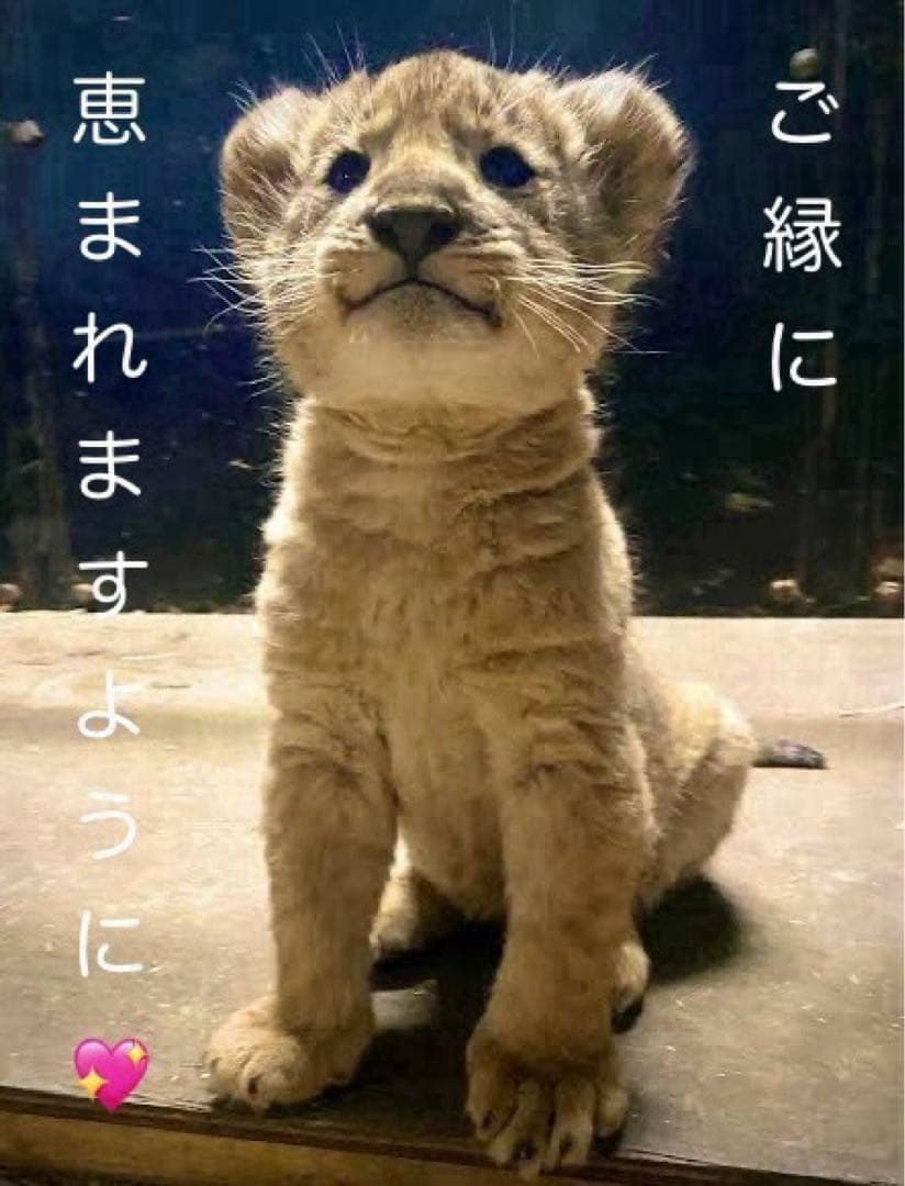 ONE PIECE ワンピース バスマット エース