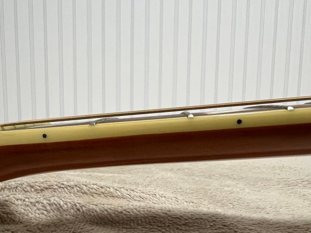 Epiphoneエレアコ DovePROギグバッグ