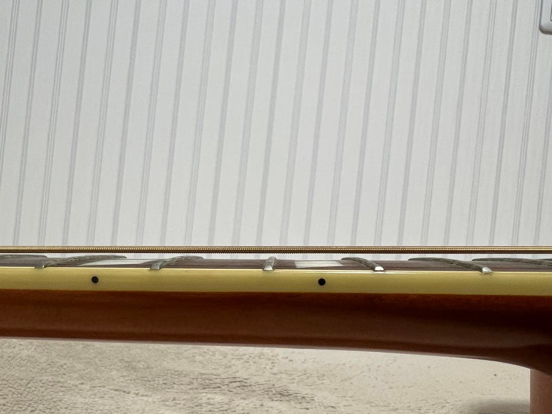 Epiphoneエレアコ DovePROギグバッグ