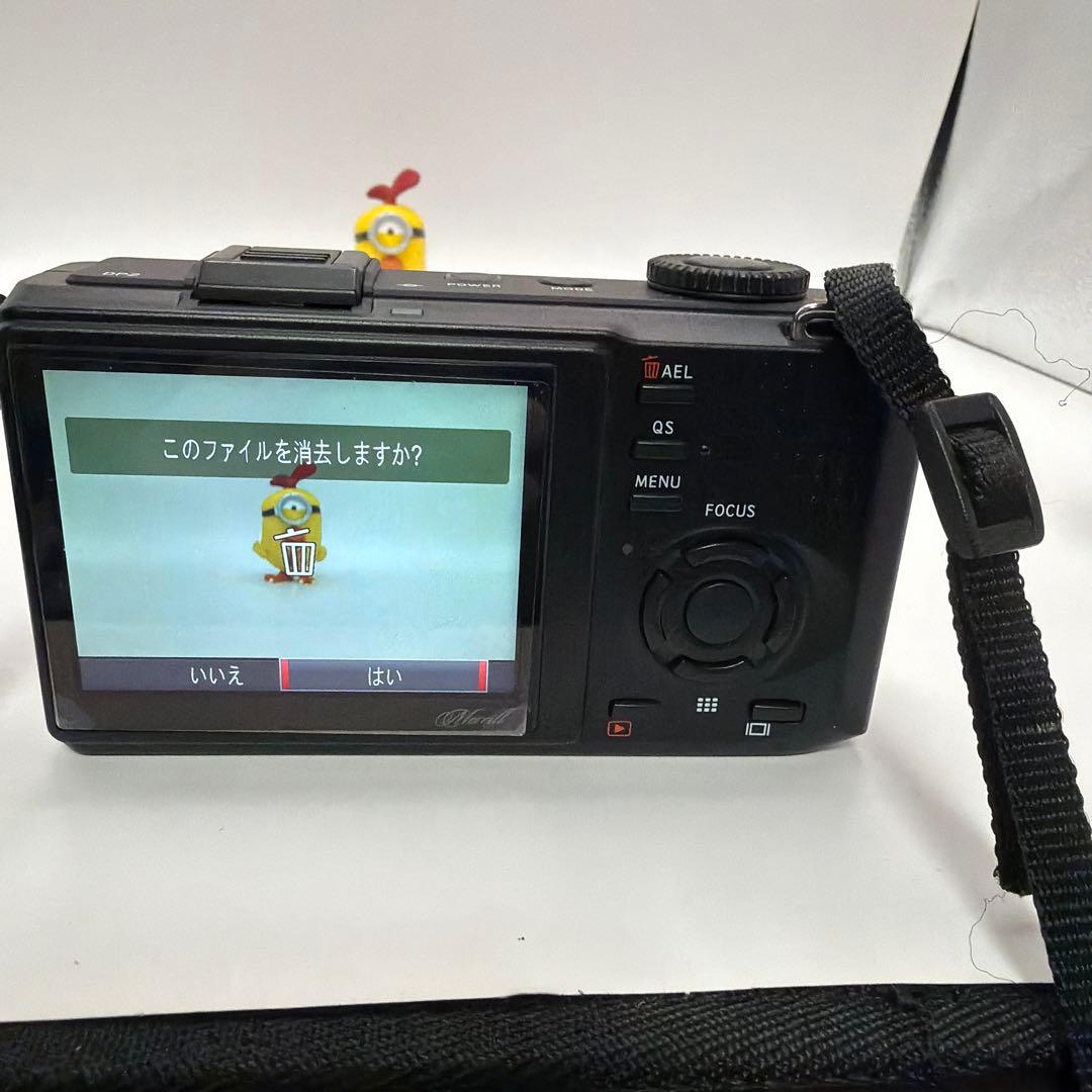 【動作確認済・希少】SIGMA DP2 Merrill（シグマ メリル）