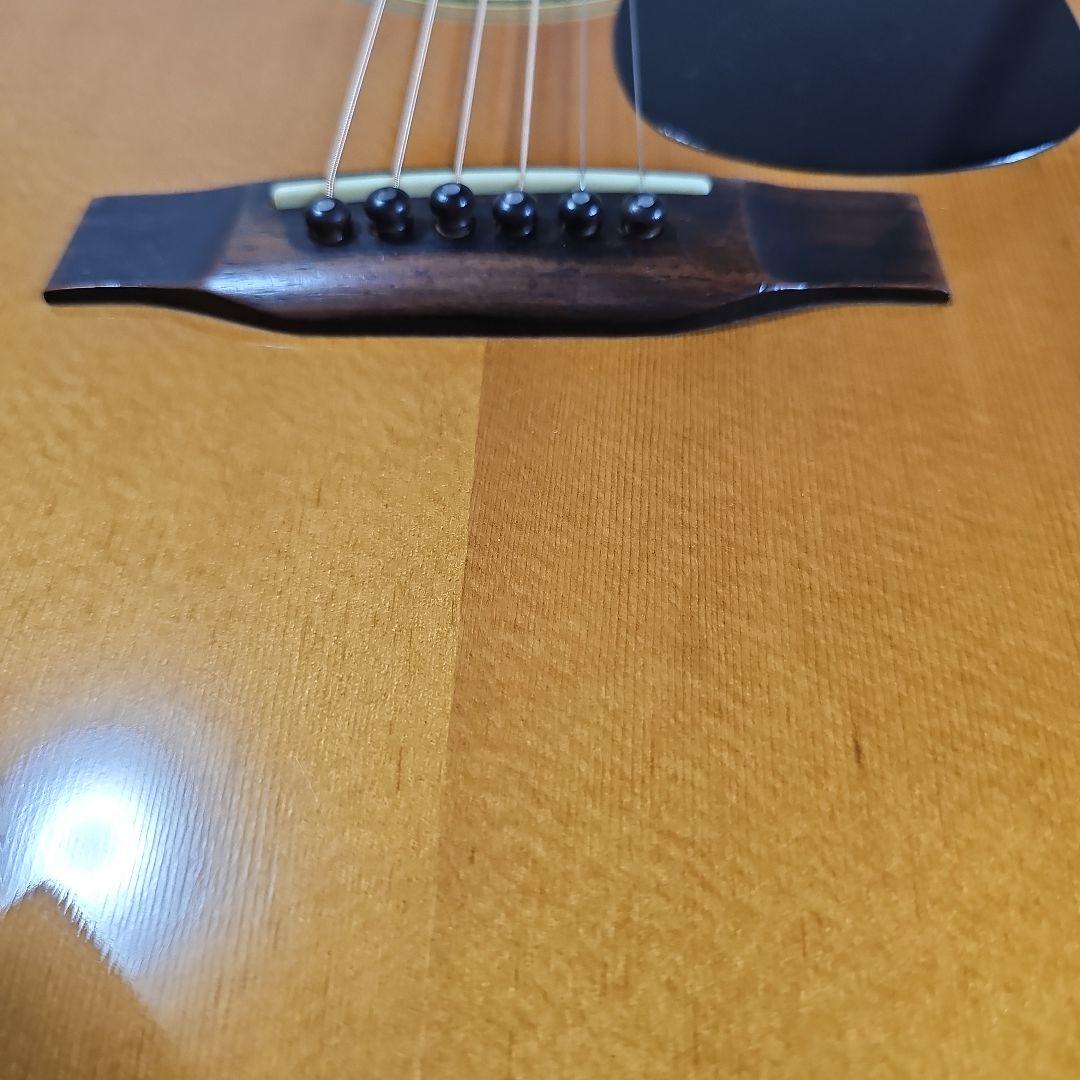 Westone.W-40ハカランダ キグバック付き。