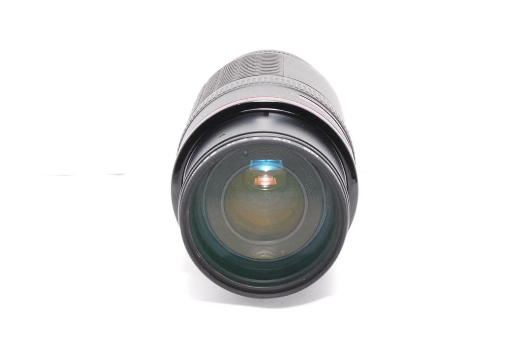 【希少】Canon 100-300mm L レンズ プロ仕様 望遠レンズ