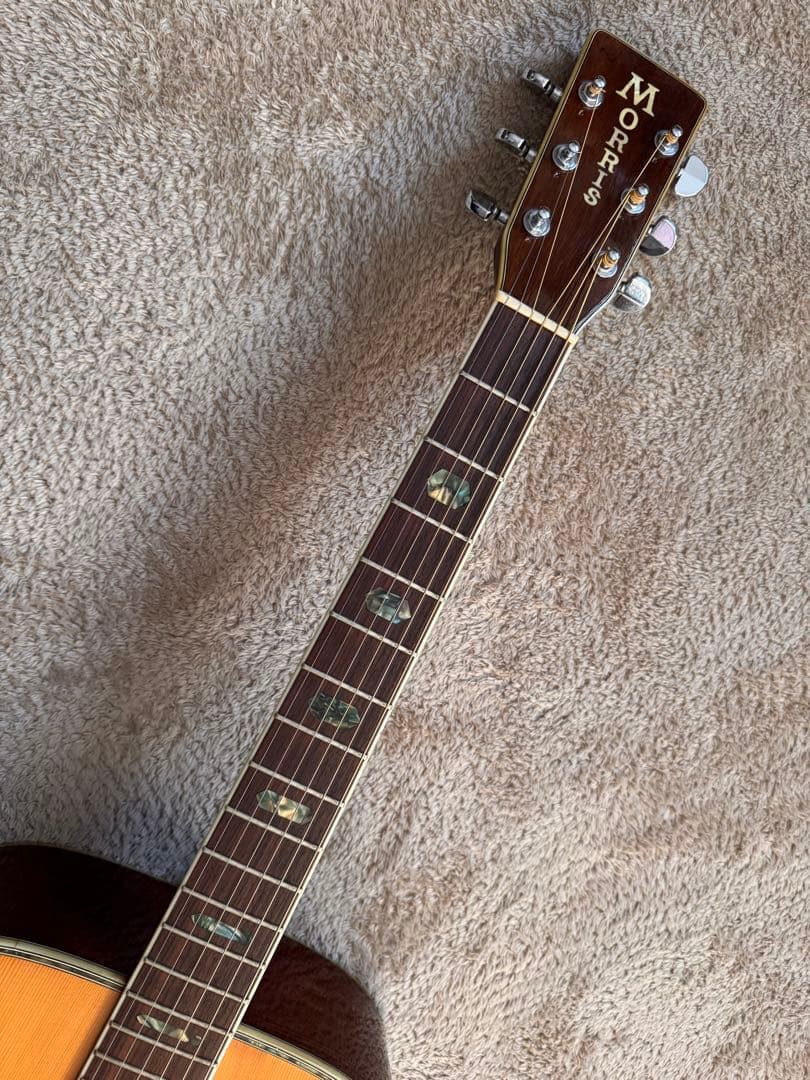 Morris モーリス W-40L レフティ アコギ カタログ付き