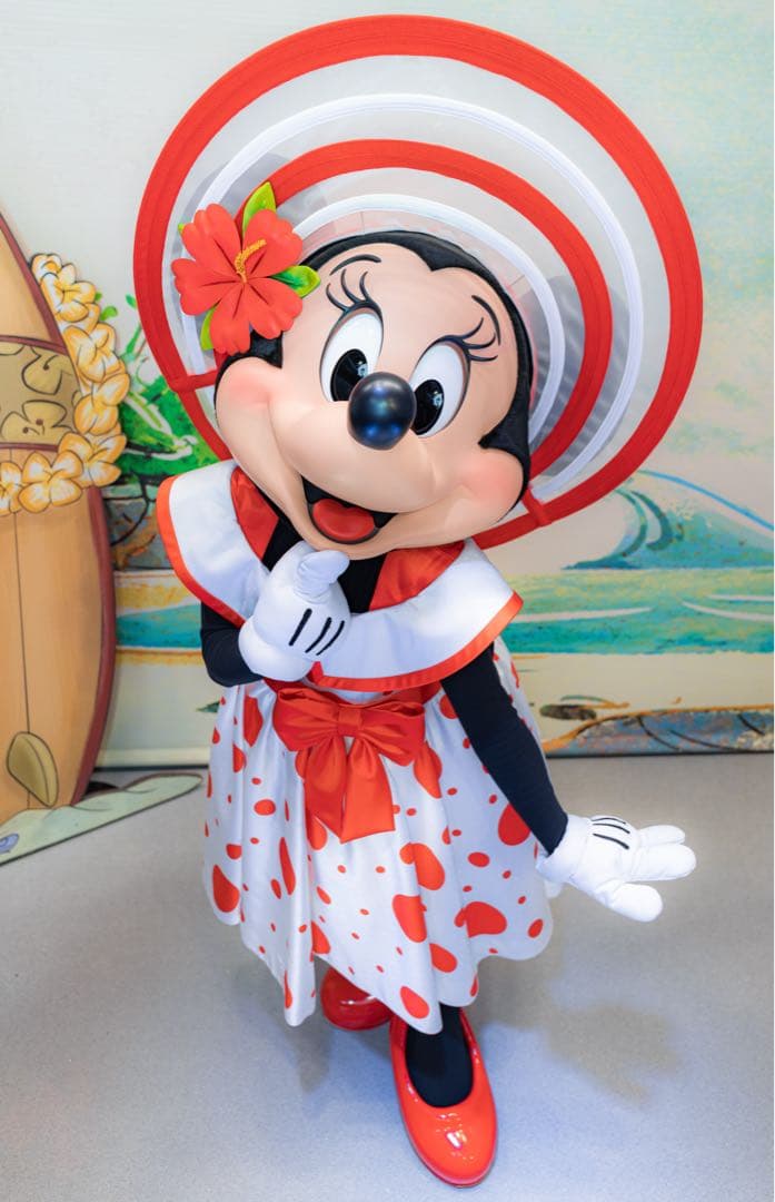 Canon EOS R 純正バッテリーグリップ付き