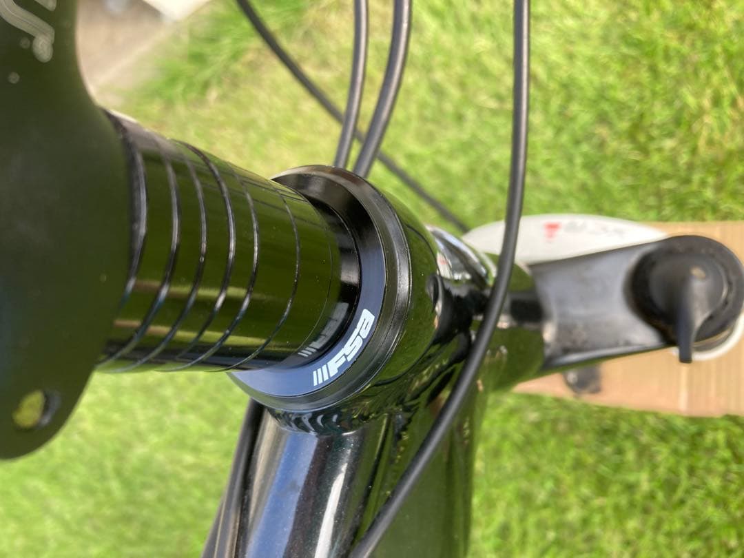 ルイガノ　確認用