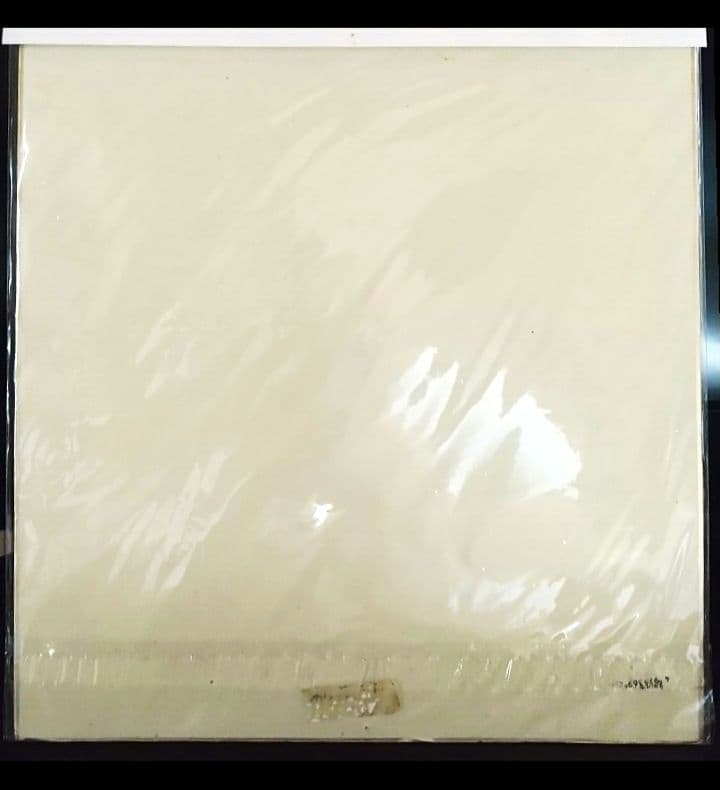 阿部慎之助 中央大学時代 直筆サイン