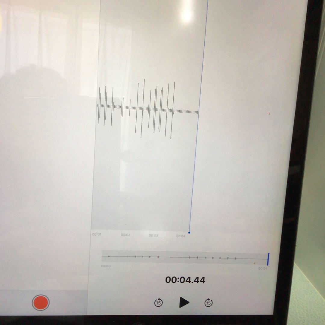 iPad pro12.9 第一世代32G wifi gray