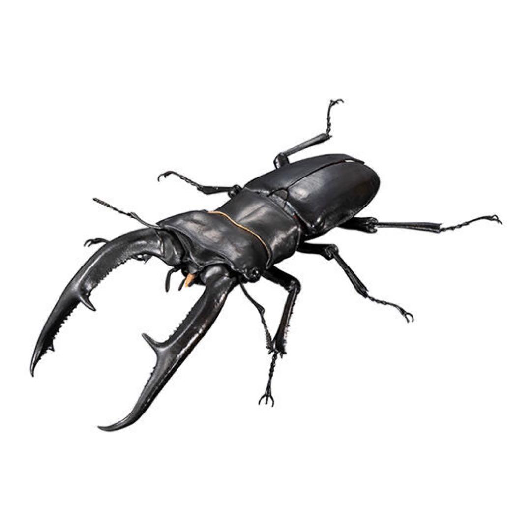 平田　ギラファノコギリクワガタ　カプセル版&オンライン版