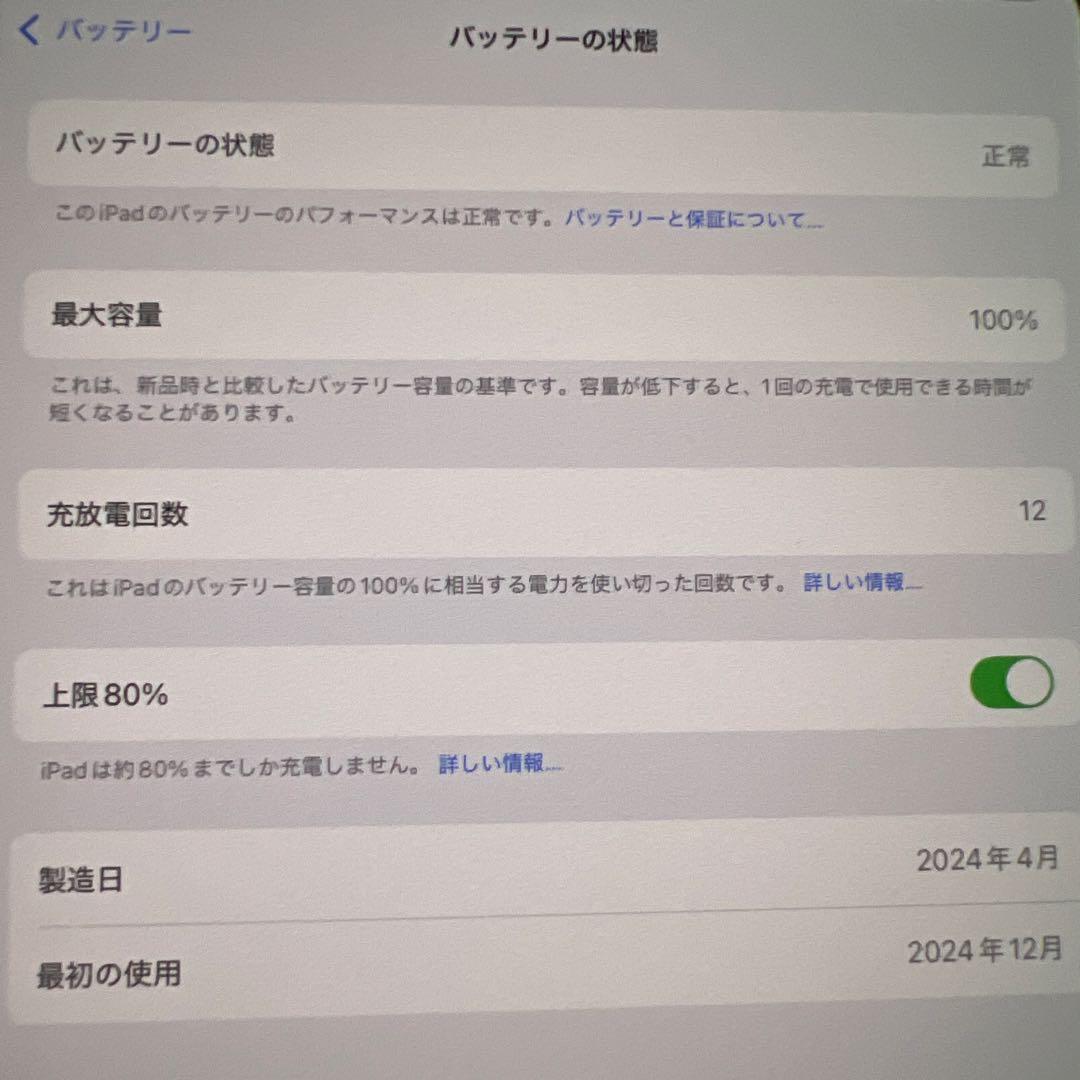 iPad Pro M4 13インチ　256GB