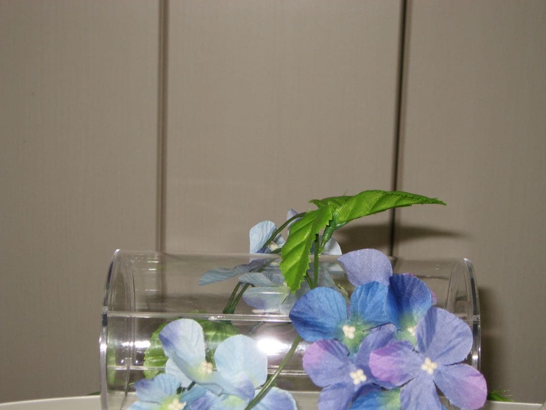 Canon IXY 800IS PC1176 充電器　説明書 コンデジ　訳あり