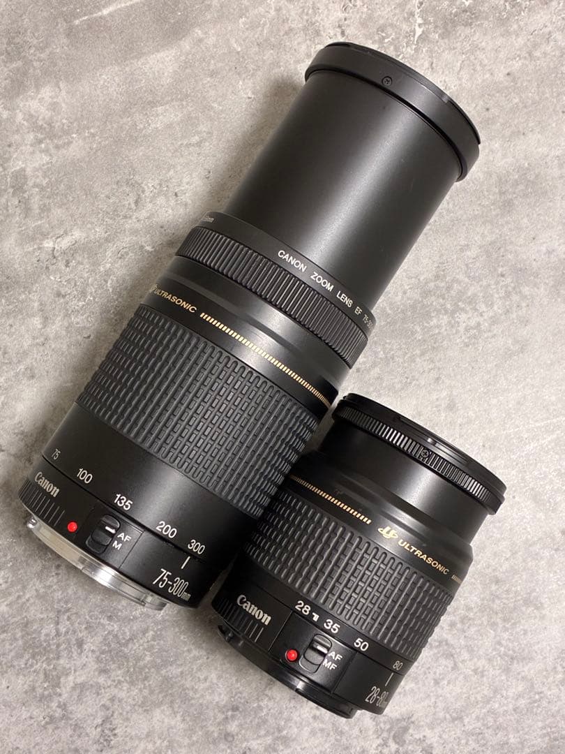 ⭐️美品⭐️キャノン Canon EF75-300, 28-80mm ダブルレンズ