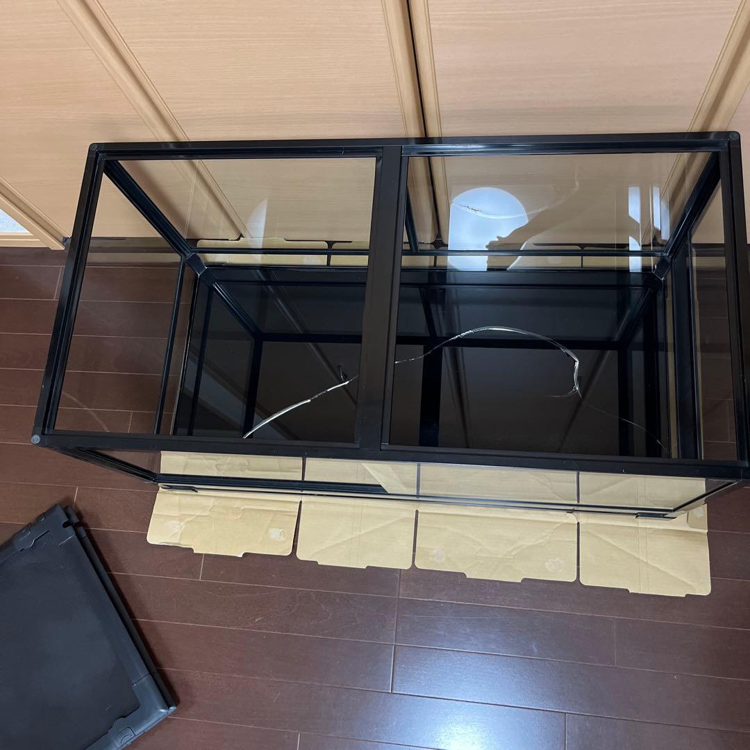 REPTI WILDパンテオン ブラック　BK9045