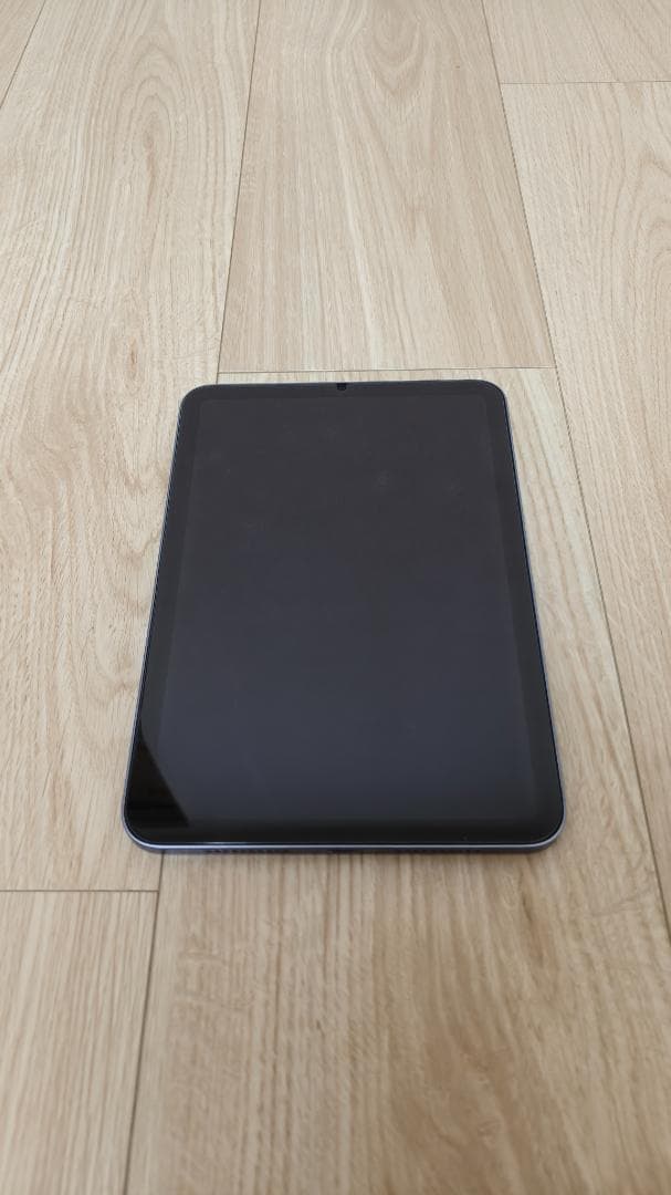 iPad mini 第6世代 (256GB/WiFiモデル)