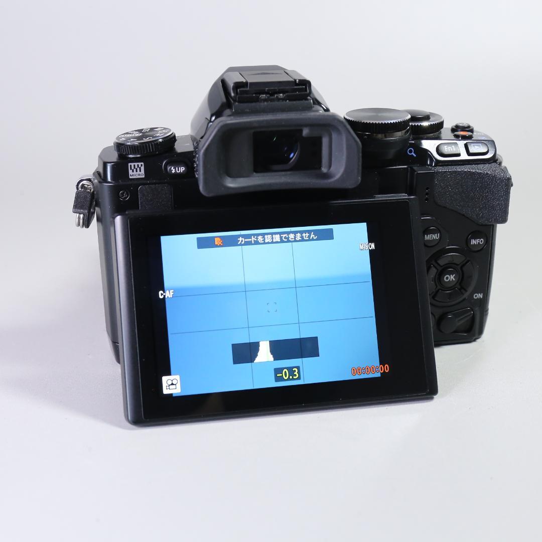 ☆特別限定モデル☆新品級 OLYMPUS OM-D E-M10 ＃355