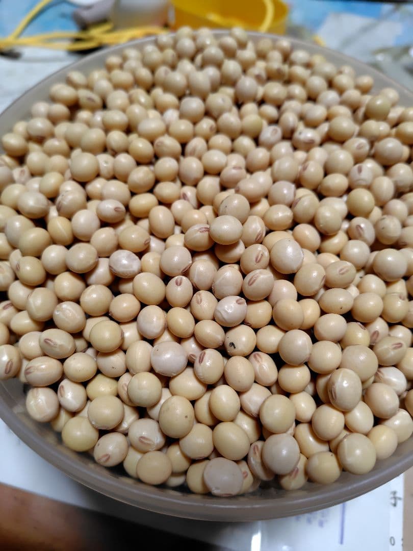 すずはな7年岐阜県産低農薬大豆フクユタカ20キロ