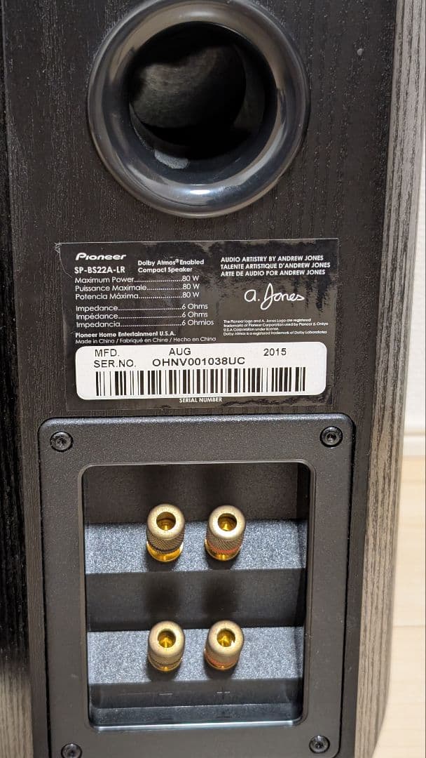 【イネーブルド一体型】Pioneer SP-BS22A-LR 【日本未発売？】