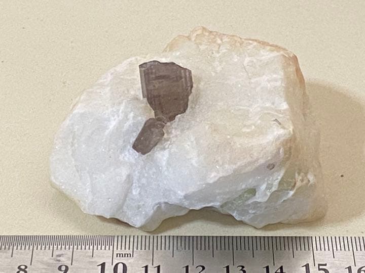 スキャポライト  195g