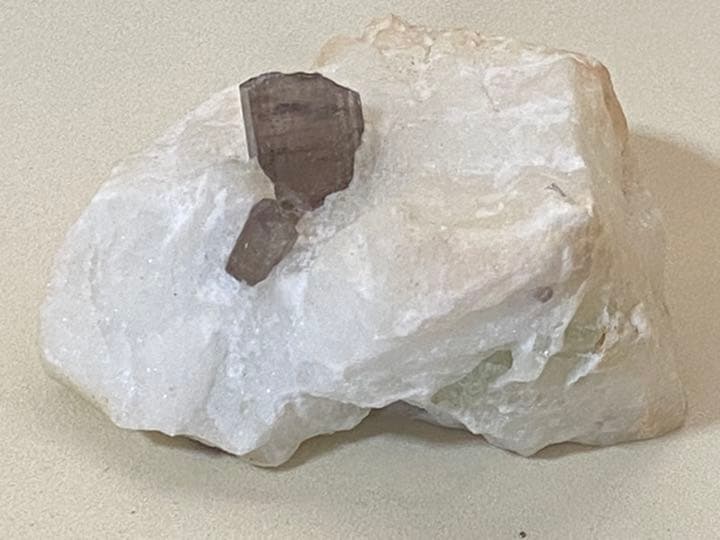 スキャポライト  195g