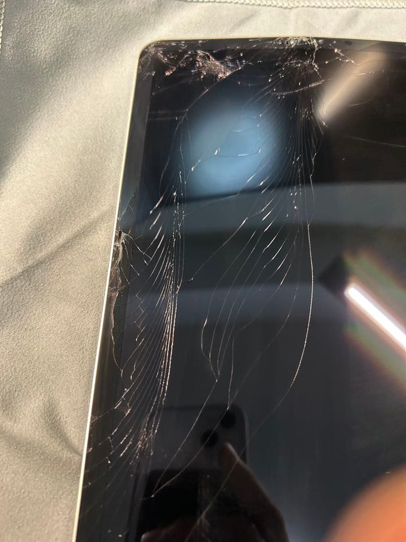 【ジャンク】11インチ M2 iPad Pro 128GB