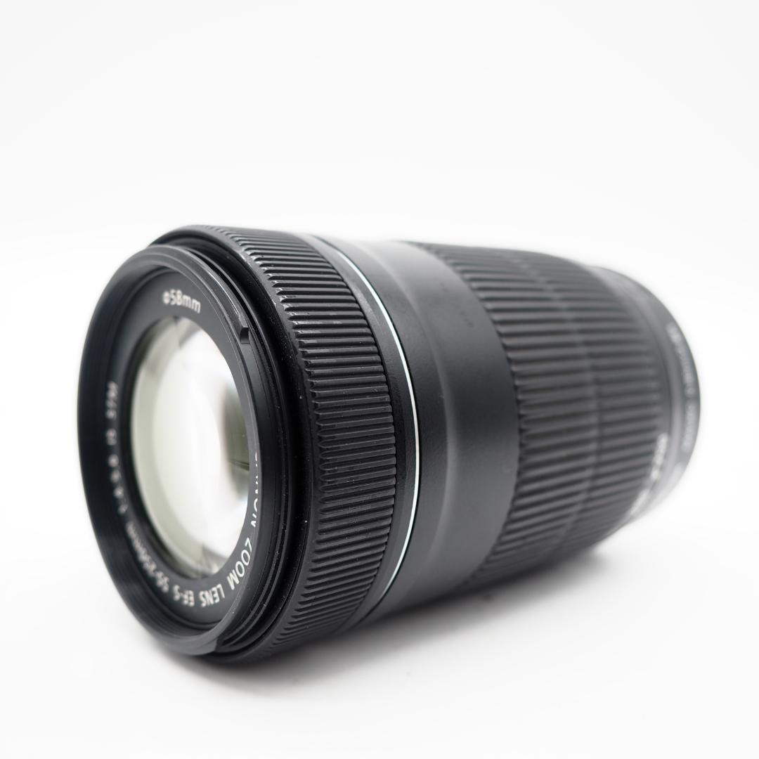 Canon EF-S 55-250mm F4-5.6 IS STM　①