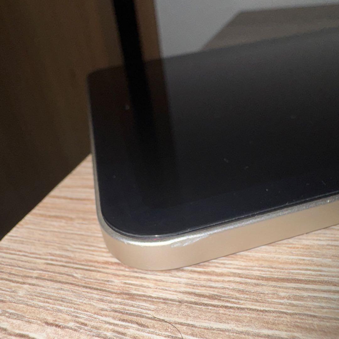 ♦️セール値下げ中！iPad mini 第6世代 256GB 色：スターライト