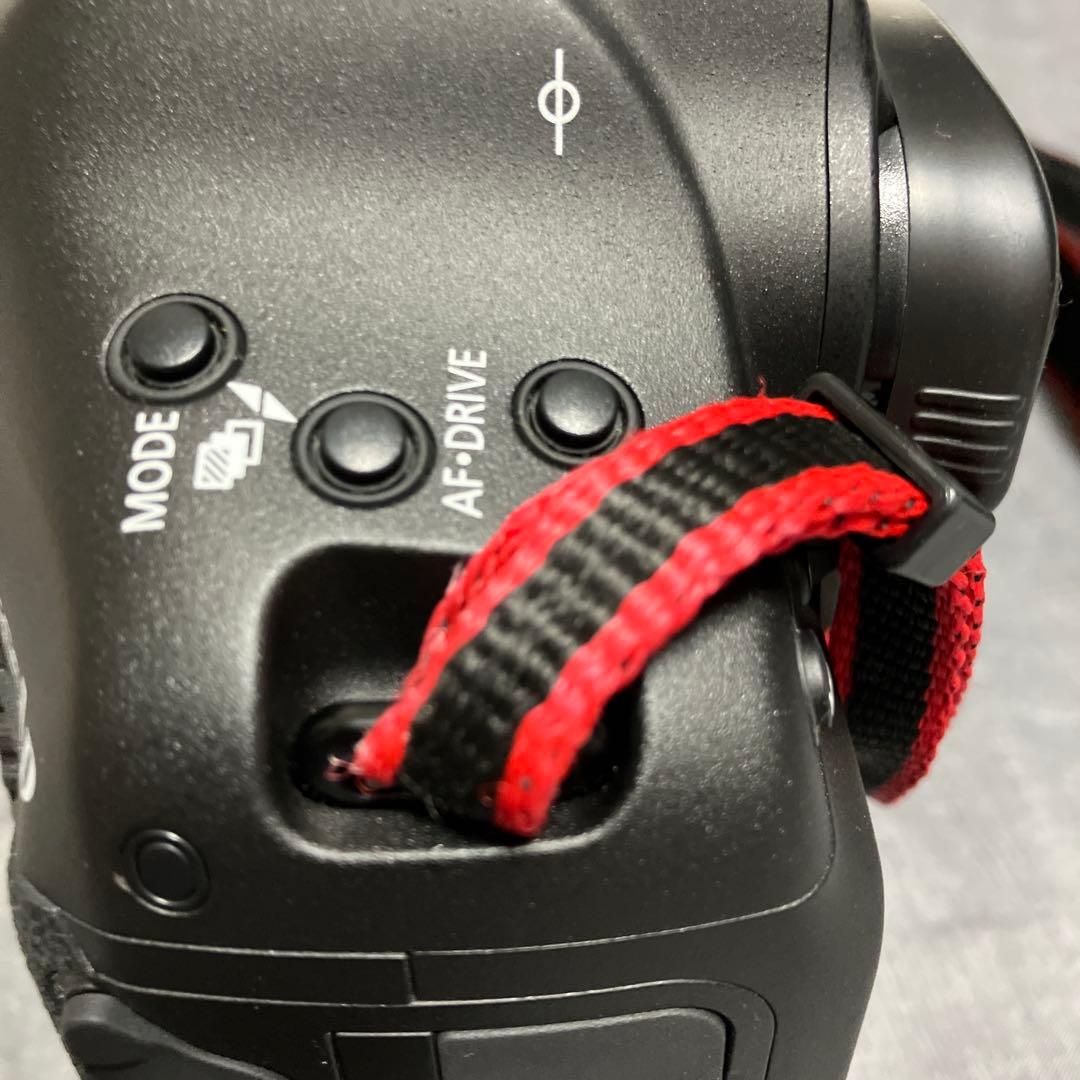 Canon EOS 1DXと充電器