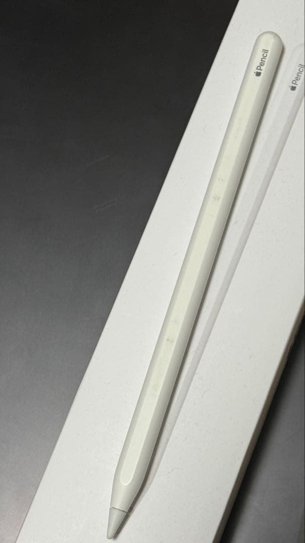 最終iPad Pro 12.9インチ 第４世代 Wi-Fi 128GB ペン付