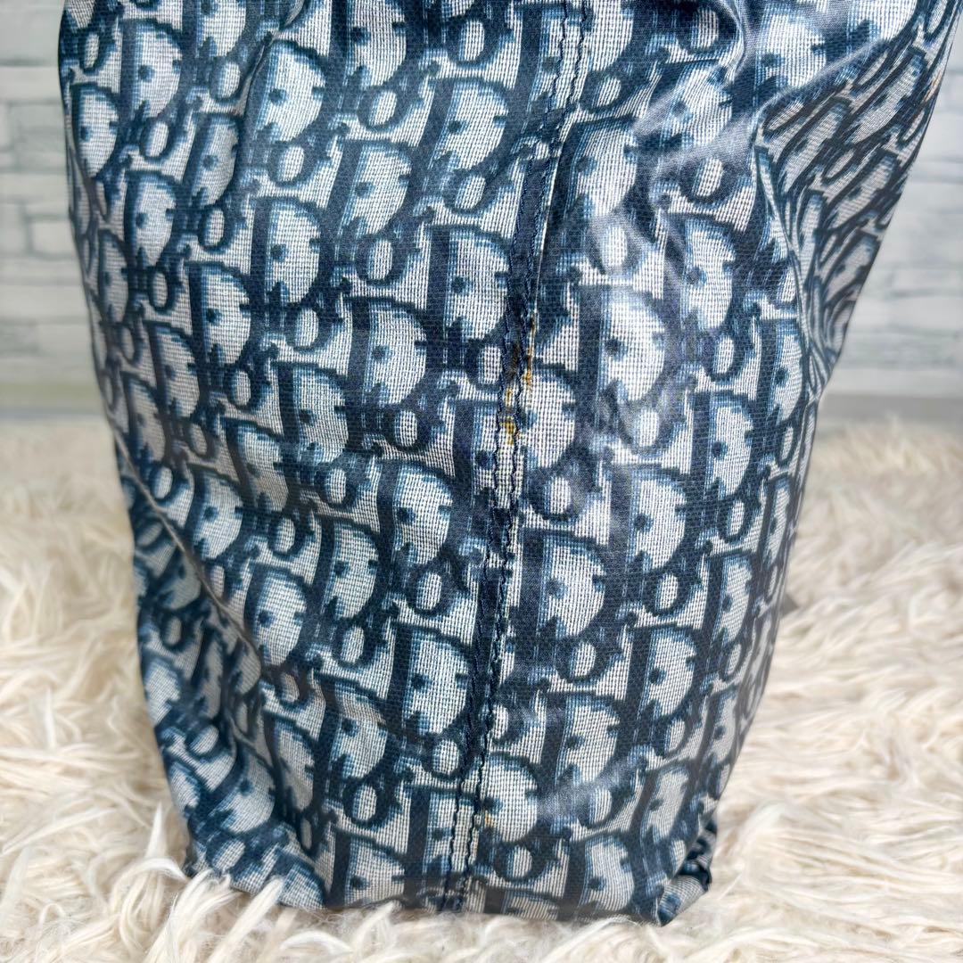 てぃん様　Christian Dior クリスチャンディオール　トロッター　エコ