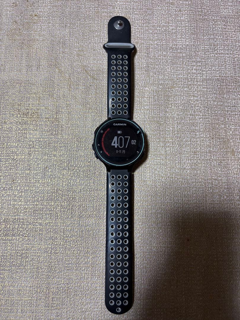 【BEAMS限定】GARMIN FOREATHLETE 235J 希少カラー！