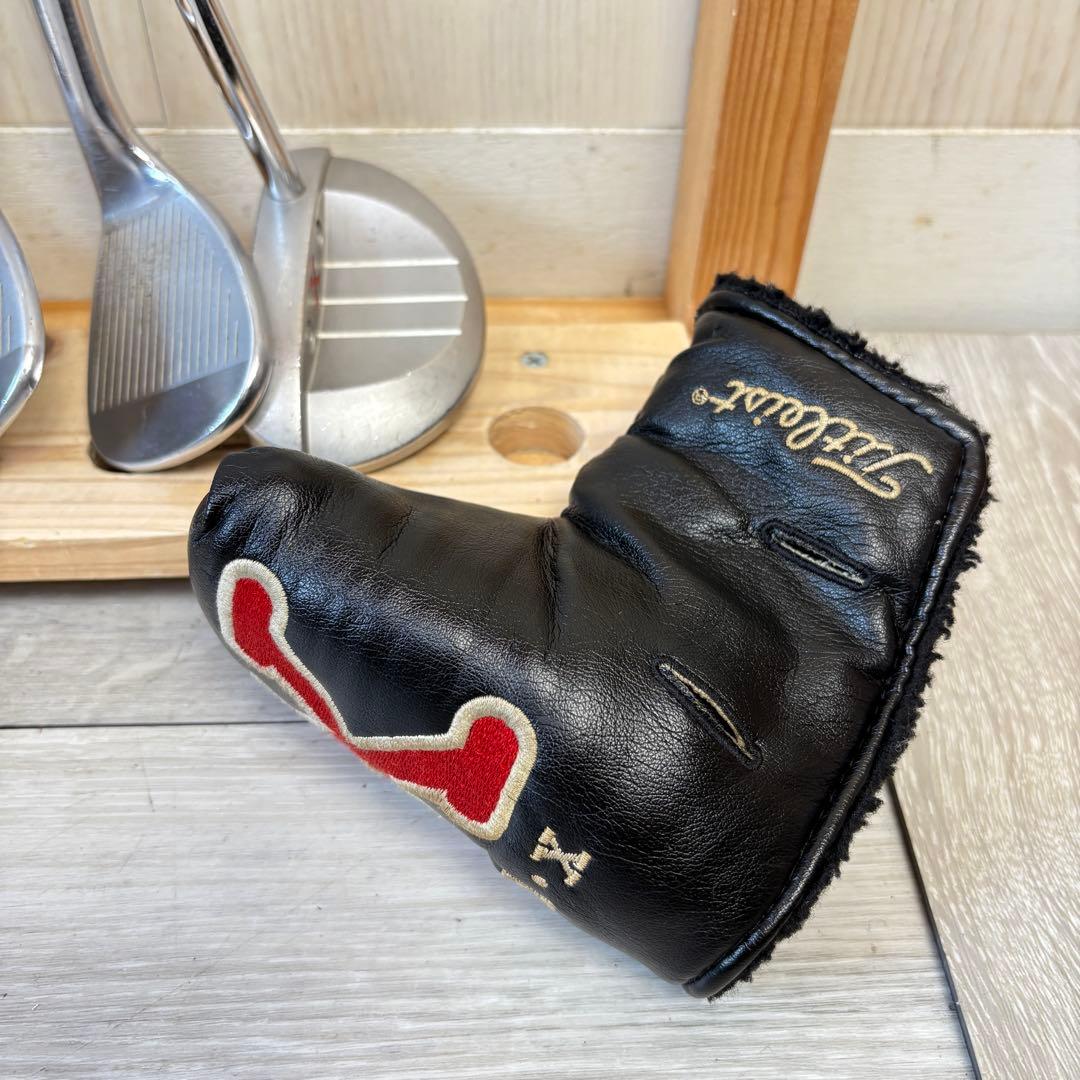 【メンズ左】タイトリスト レフティ キャメロン メンズゴルフセット M70819