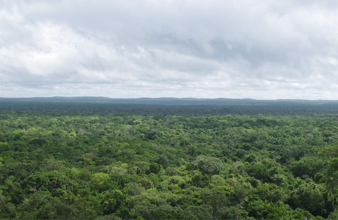 レンズ(ズーム) SIGMA 10-20mm F4-5.6 DC HSM
