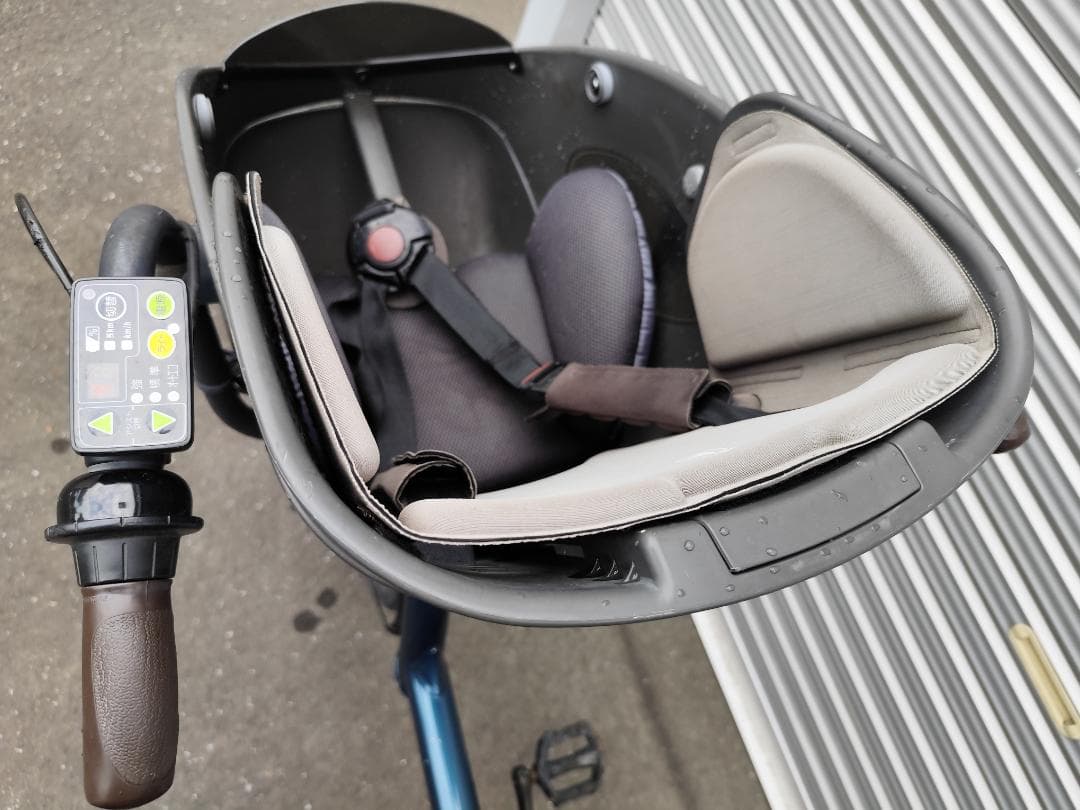 ブリヂストン ビッケ ポーラーe　大容量バッテリー　2021年製