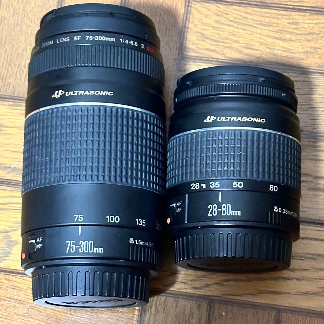 レンズ(ズーム) Canon 28-300mm USM W ZOOM LENS KIT