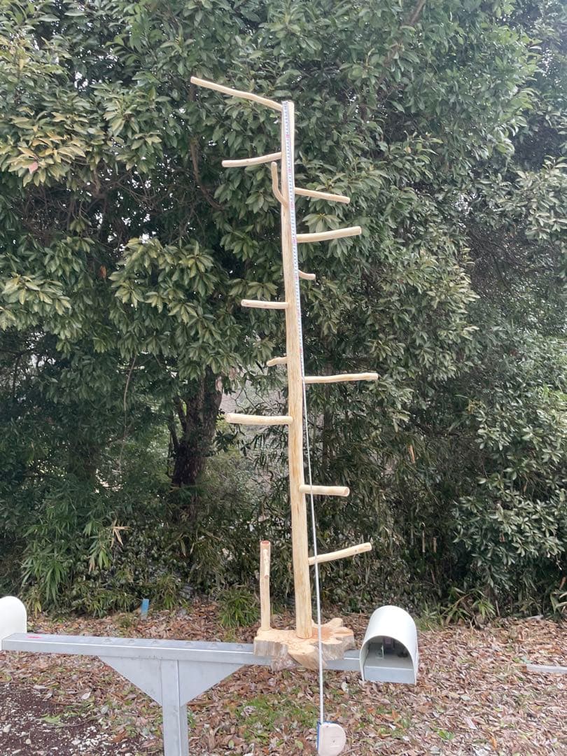 【訳あり】国産ヒノキ　鳥用止まり木　大型スタンド　約147センチ　中型インコ用