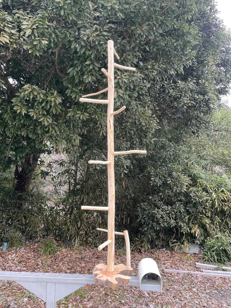 【訳あり】国産ヒノキ　鳥用止まり木　大型スタンド　約147センチ　中型インコ用