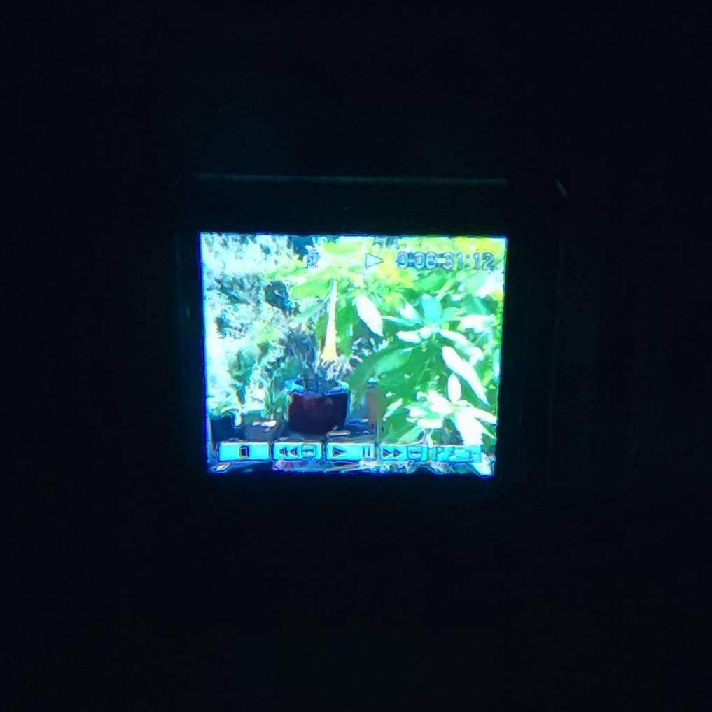 【動作確認済】SONY MiniDV 高画質 ビデオカメラ ナイトショット 対応