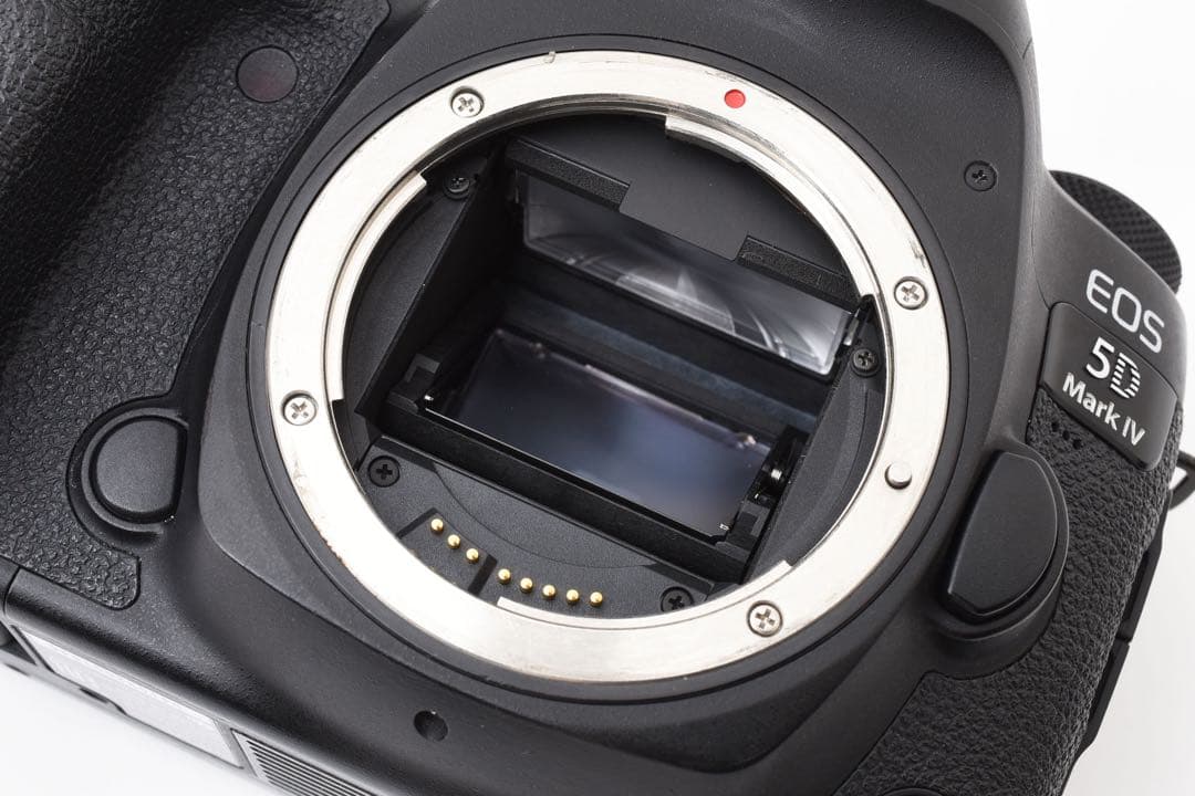 一眼レフカメラ☆Canon EOS 5D Mark IV標準&望遠レンズセット