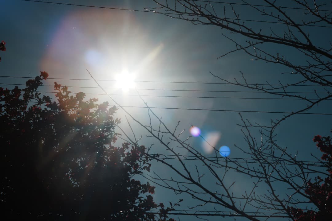 【整備＆テスト済】Nikkor-H Auto 85mm F1.8 485