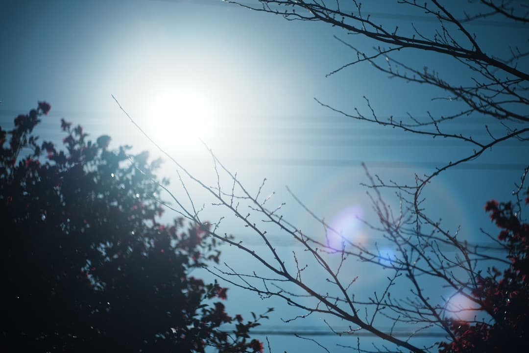 【整備＆テスト済】Nikkor-H Auto 85mm F1.8 485