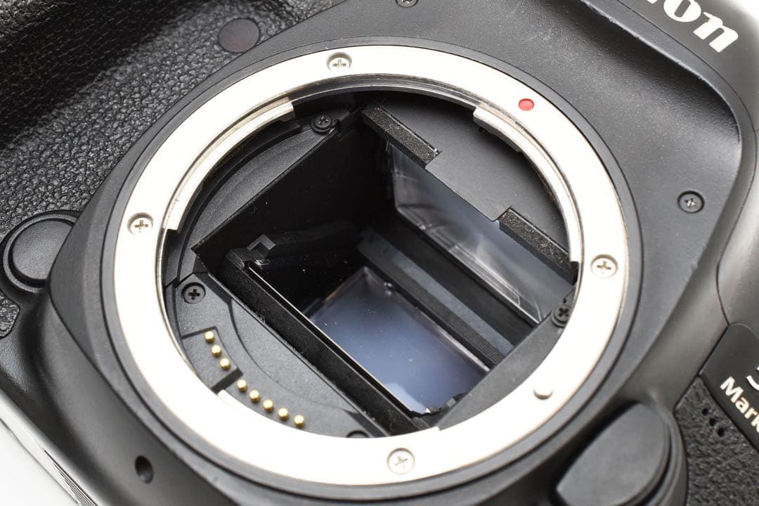 一眼レフ/Canon EOS 5D Mark IV標準&望遠ダブルレンズセット