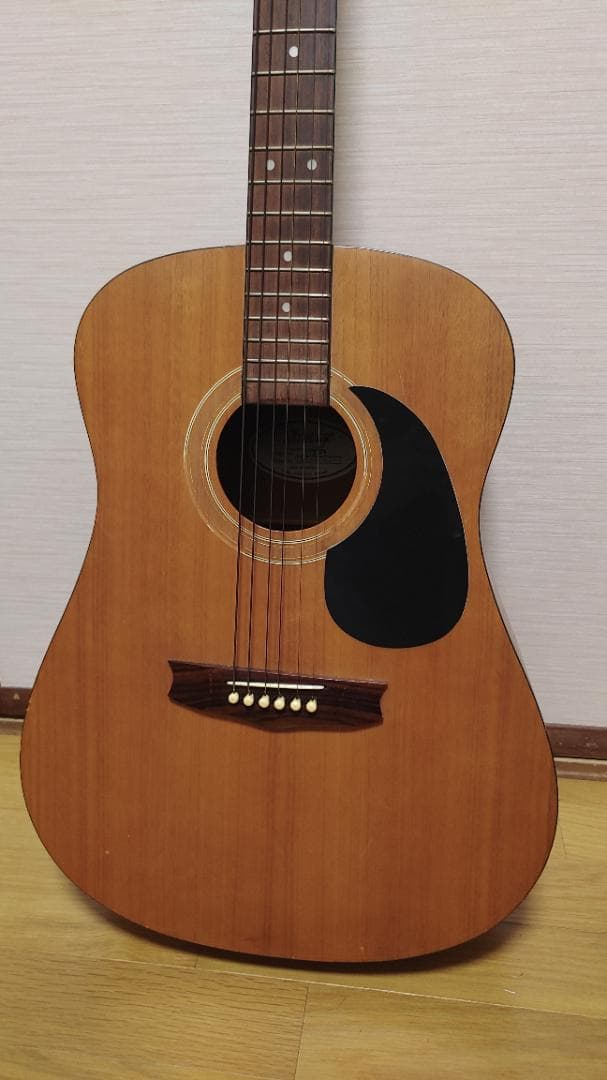 ギター Vintage VIS-1