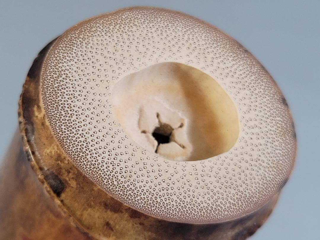 茶道具 竹蓋置 一双 大徳寺 書付 美品 DT474