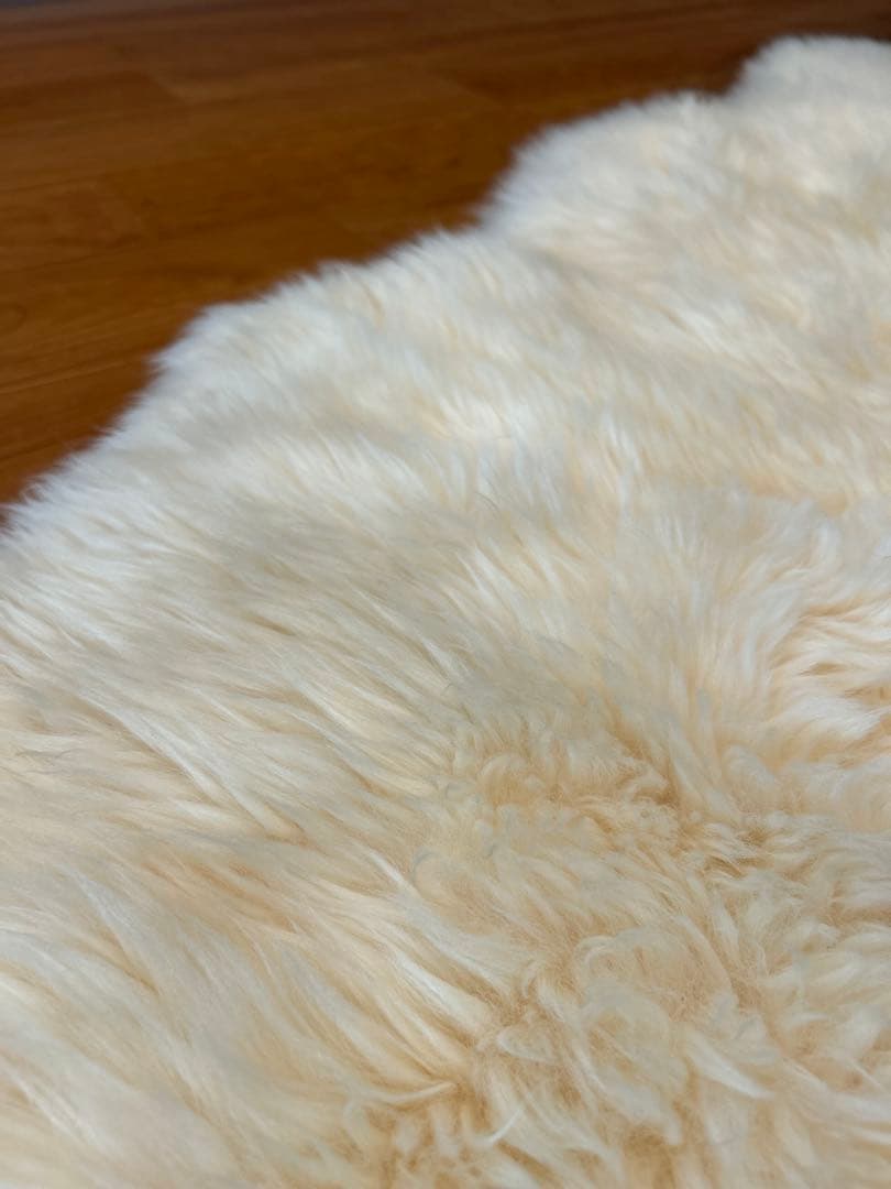 クリーム色 羊毛100%ラグ 2枚セット