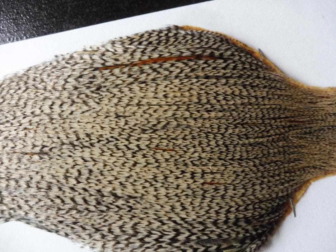 メッツ METZ コックハックルケープ グリズリーバリアント