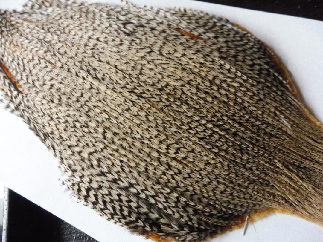 メッツ METZ コックハックルケープ グリズリーバリアント